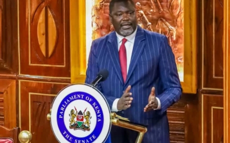 𝐍𝐘𝐒 𝐂𝐎𝐌𝐌𝐄𝐑𝐂𝐈𝐀𝐋𝐈𝐙𝐀𝐓𝐈𝐎𝐍 𝐏𝐋𝐀𝐍 𝐓𝐎 𝐃𝐑𝐈𝐕𝐄 𝐘𝐎𝐔𝐓𝐇 𝐄𝐌𝐏𝐋𝐎𝐘𝐌𝐄𝐍𝐓 𝐀𝐍𝐃 𝐀𝐂𝐂𝐎𝐔𝐍𝐓𝐀𝐁𝐈𝐋𝐈𝐓𝐘