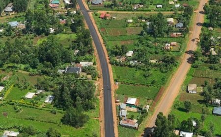 Kitutu Chache North: The Once Chang'aa Prone Constituency Receiving 'Unparalleled' Growth