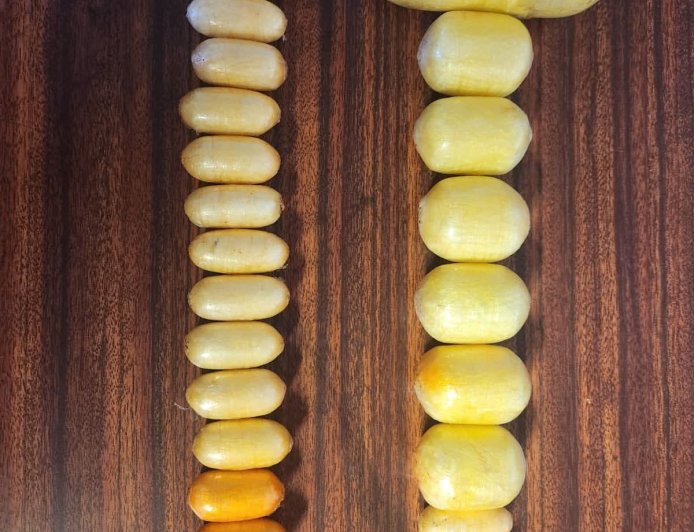 DETECTIVES SEIZE COCAINE WORTH SH3.6 MILLION, ARREST SUSPECT AT JKIA