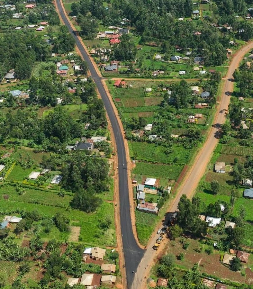 Kitutu Chache North: The Once Chang'aa Prone Constituency Receiving 'Unparalleled' Growth