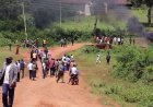 TENSION AT NYANSANGIO COFFEE FACTORY AS FARMERS ELECT NEW LEADERS AFTER CHAOTIC POLLS