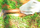 HACKED TO DEATH BY HER OWN UNCLE: 13-YEAR-OLD PURITY SLAUGHTERED WITH PANGA ON HER WAY HOME FROM SCHOOL