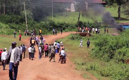 TENSION AT NYANSANGIO COFFEE FACTORY AS FARMERS ELECT NEW LEADERS AFTER CHAOTIC POLLS