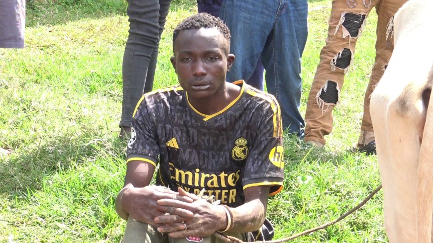 CAUGHT IN THE ACT: YOUNG COW THIEF NABBED IN MOGONGA AS RESIDENTS DECLARE WAR ON CATTLE RUSTLING