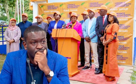 ODM OUSTS NAIROBI SENATOR EDWIN SIFUNA AS SECRETARY-GENERAL IN MAJOR LEADERSHIP SHAKE-UP